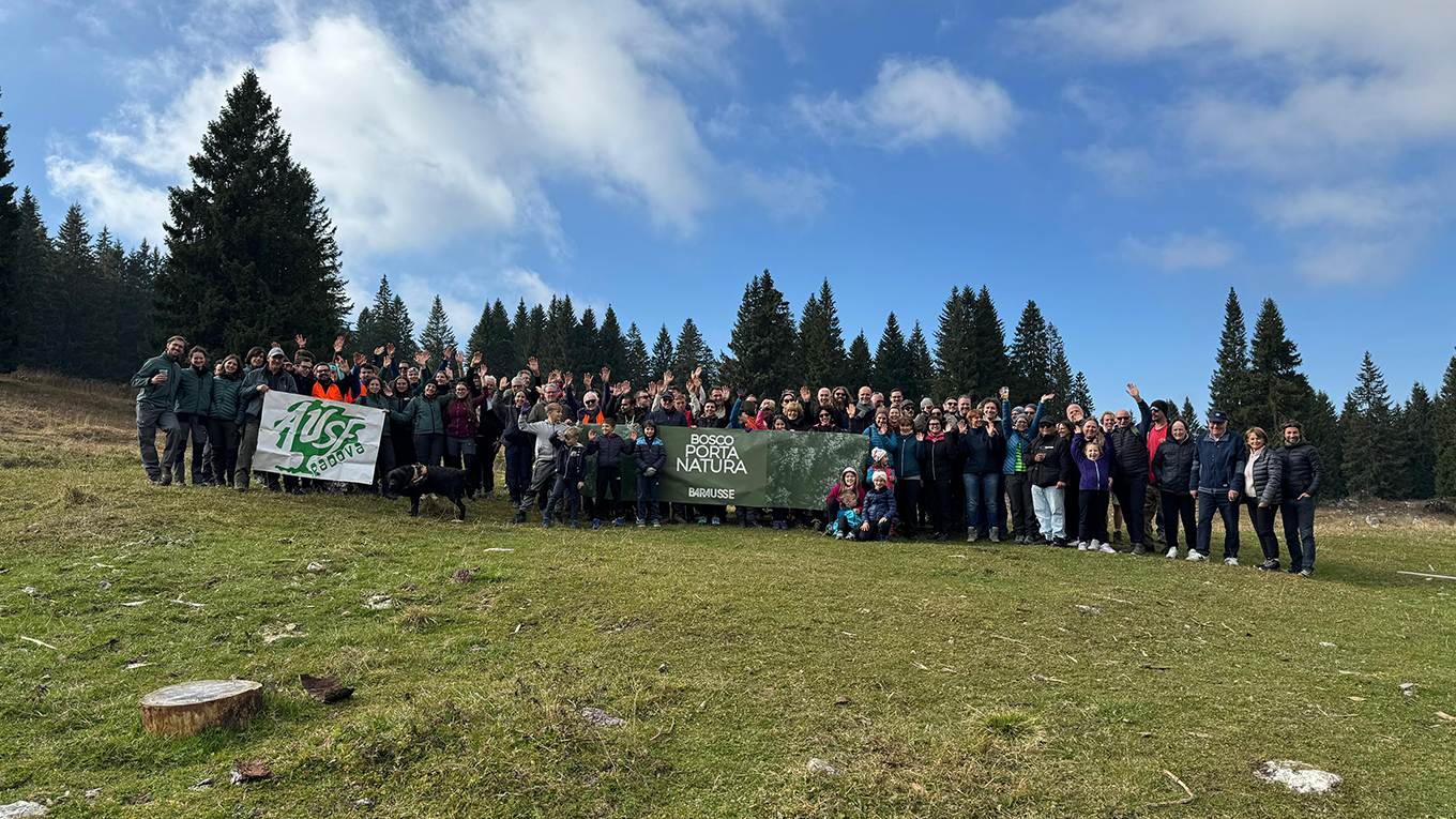 Barausse ottiene la certificazione FSC e avvia il progetto "Bosco Porta Natura"