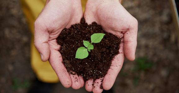 Greenwashing tra trasparenza e rischio