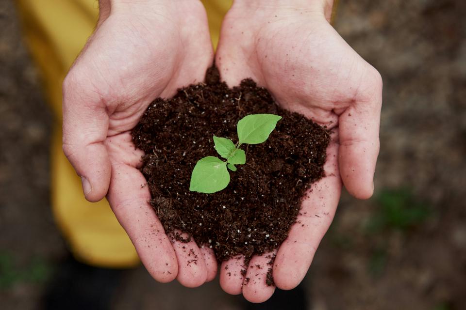 Greenwashing tra trasparenza e rischio