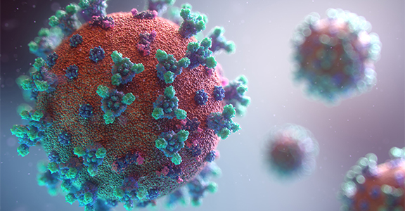 Coronavirus: aggiornato sul sito del Governo l'elenco delle attività consentite con green pass