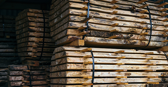 Materie prime: Webinar di filiera - legno/carta il 31 maggio